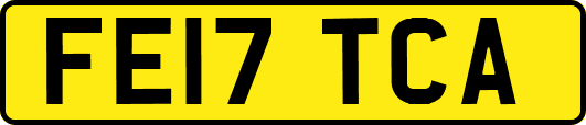 FE17TCA