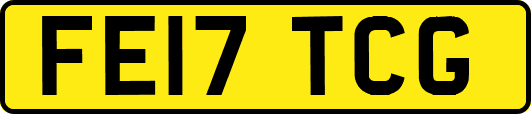 FE17TCG
