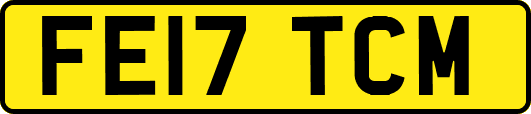 FE17TCM