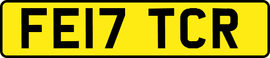 FE17TCR
