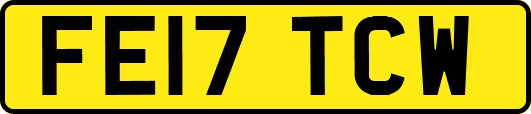 FE17TCW