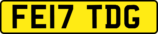 FE17TDG