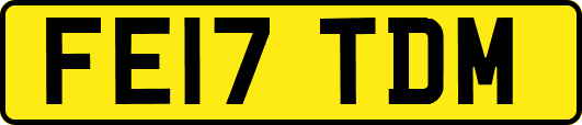 FE17TDM