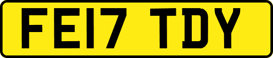 FE17TDY