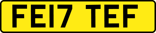 FE17TEF