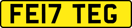 FE17TEG