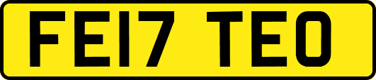 FE17TEO