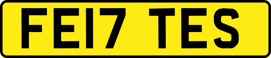 FE17TES
