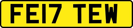 FE17TEW