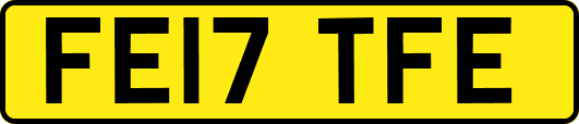 FE17TFE