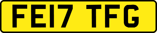 FE17TFG