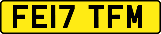 FE17TFM