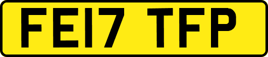 FE17TFP