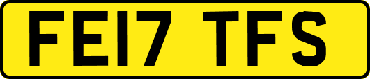 FE17TFS