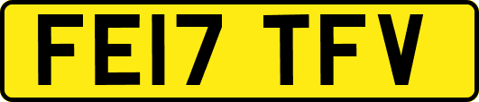 FE17TFV