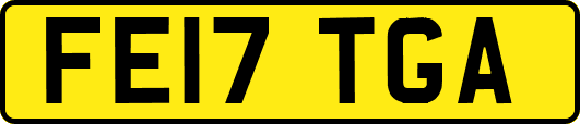 FE17TGA