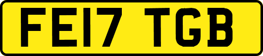 FE17TGB