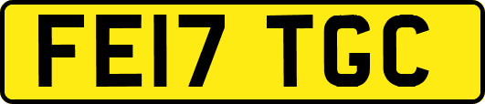FE17TGC