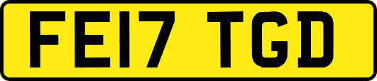 FE17TGD