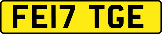 FE17TGE