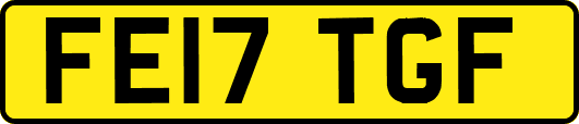 FE17TGF
