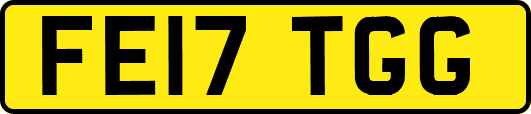 FE17TGG
