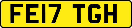 FE17TGH