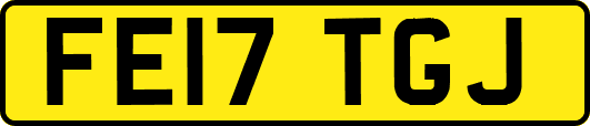 FE17TGJ