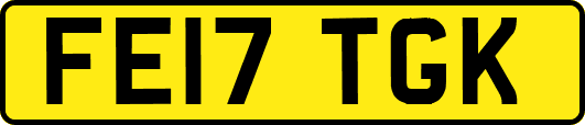 FE17TGK