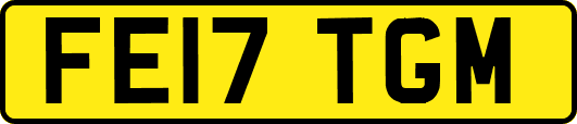 FE17TGM