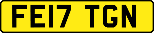 FE17TGN