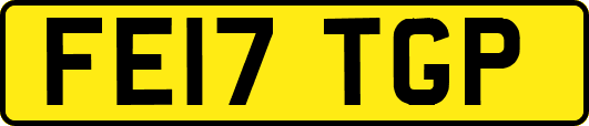 FE17TGP