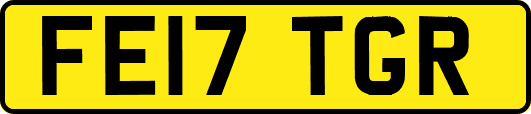 FE17TGR