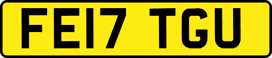 FE17TGU