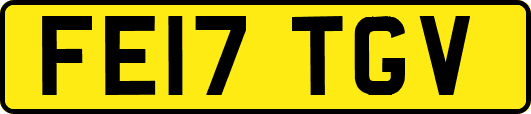 FE17TGV