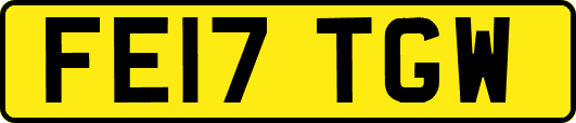 FE17TGW