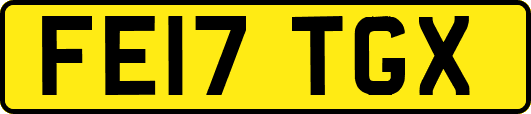 FE17TGX
