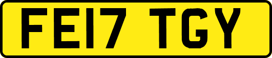 FE17TGY