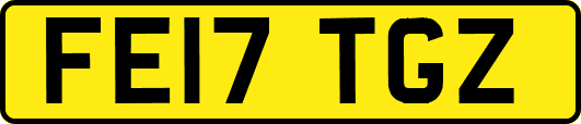 FE17TGZ
