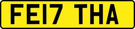 FE17THA