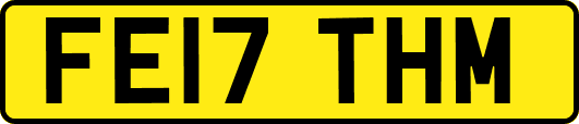 FE17THM