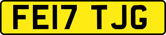 FE17TJG