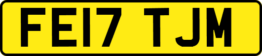 FE17TJM