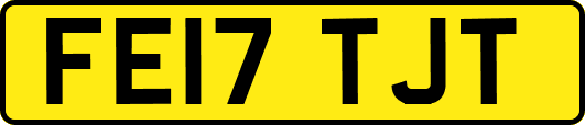 FE17TJT
