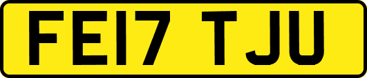 FE17TJU