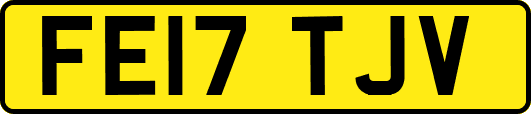 FE17TJV