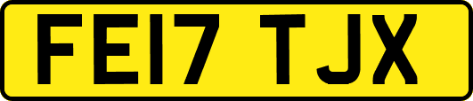 FE17TJX