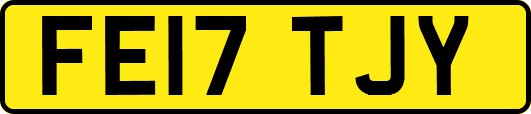 FE17TJY