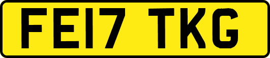 FE17TKG