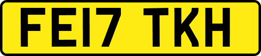 FE17TKH